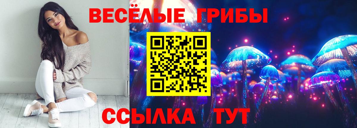 Галлюциногенные грибы Psilocybe Саратов