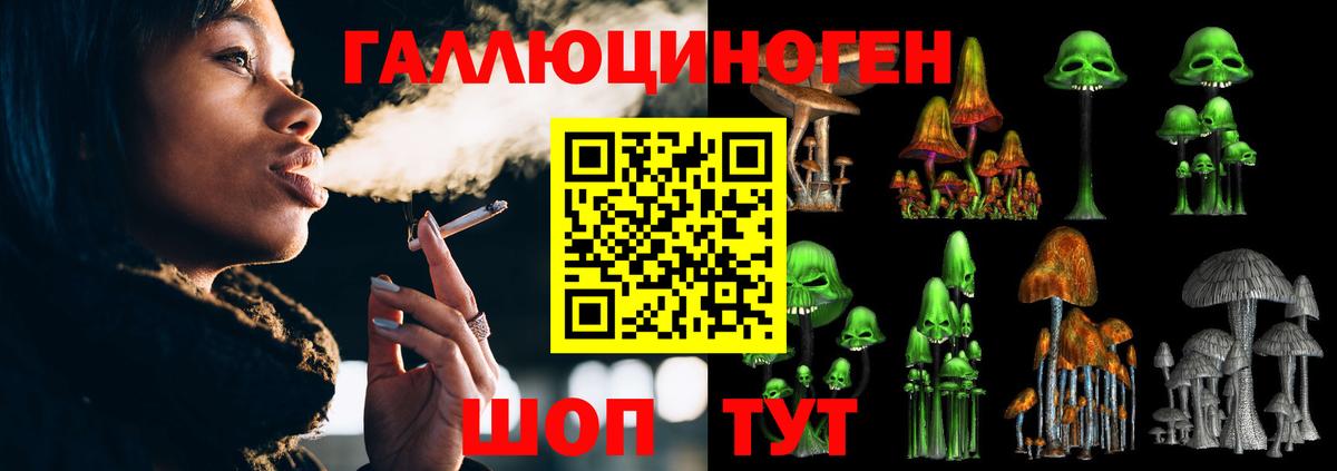 Галлюциногенные грибы Cubensis  Вход с VPN  Саратов 
